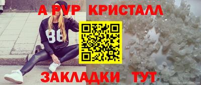 ПСИЛОЦИБИНОВЫЕ ГРИБЫ Кингисепп