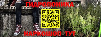 ПСИЛОЦИБИНОВЫЕ ГРИБЫ Кингисепп