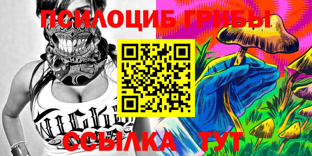 Чита  Галлюциногенные грибы Psilocybine cubensis  Вход с VPN 